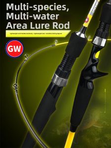 GW | Long Cast Carbon Spinning Rod