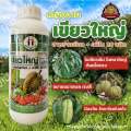 หญิงงามเขียวใหญ่พลัส สาหร่าย+อมิโน 28 ชนิด ขนาด 1 ลิตร เขียวใหญ่ ใบหนา. 