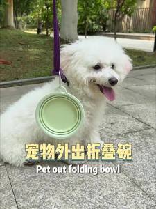 7o | Foldable Portable Pet Feeding & Drinking Bowl