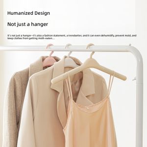 RA Foldable Moisture Absorbing Hanger PP Anti-Mold Clothes Rack for Wardrobe Closet Storage AR
