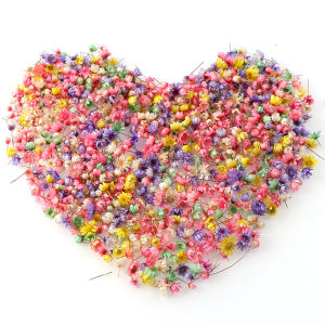 100/200pcs Artificial Dried Flower Little Star Flower DIY Craft Epoxy Resin Candle Nail Art Epoxy Resin Filling Making Jewellery