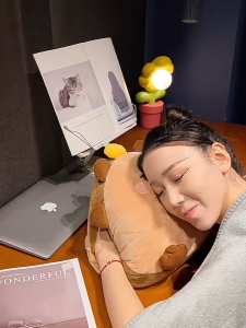 CODคาปิบาร่า ตุ๊กตาผ้าห่ม การ์ตูนข้าวปั้นปล หมอนผ้าห่ม3in1แบบซุกมือได้ เก็บผ้าห่มด้านหลังอุ่นมือเบาะ