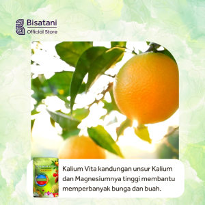 Kalium Vita 1Kg Pupuk Kalium untuk Tanaman Nutrisi Daun Pupuk Pelebat Buah Tanaman