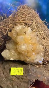 Bông hoa Thạch Anh Citrine chóp nhọn lấp lánh tự nhiên thiền định sưu tầm mạnh mã 379