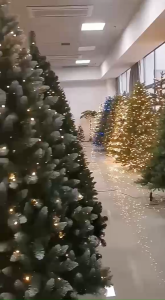 White/Green Christmas Tree 4FT 5FT 6FT 7FT 8FTXmas Tree 7ft to 8ftWhite Christmas Tree Full SetChristmas Tree 8ft Makapal SetChristmas Tree StandXmas DecorationsChristmas Tree AccessoriesChristmas Decorations For Home Decor