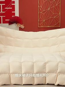 Boyang Home Textile | Thickened Winter Warm All-Seasons Quilt