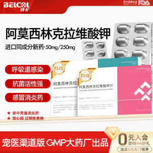 Belcol Cat Cold Medicine Package Amoxicillin Potassium Clavulanate Antibiotic Pet Inflammation Doxycycline Tablets for Cats