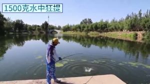 Joran Pancing Tegek 540 Joran Carbon 5m Kaku Alat Ultralight Alat Pancing Ikan Blood Kirin Carbon Fishing Rod