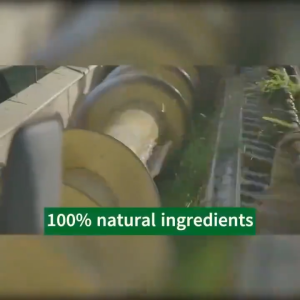 50X Barley Grass Powder Natural Organic Healthy Weight Loss Detox Tea Body Detoxification Slimming 大麦草粉原味100% Barley Grass Powder Original Healthy Natural Organic Slimming Detox Tea No Additives