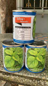 ผักโขมขาว ผักโขมน้อย ผักโหม บรรจุ 80 กรัม