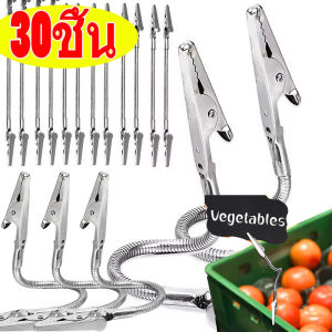 30 ชิ้น คลิปหนีบกระดาษปากจระเข้อเนกประสงค์ ขนาด 18 ซม. / หัวคู่ สายยางยืดหยุ่น DIY สำหรับใส่การ์ดบันทึก รูปภาพ โน้ต / คลิปหนีบป้ายราคา / คลิปหนีบกระดาษปากจระเข้สองหัว