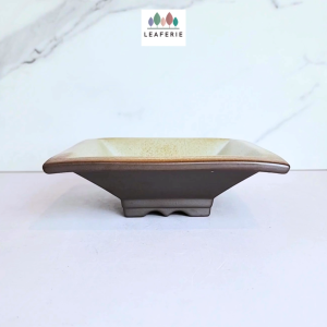 The Leaferie Mobee Square Flowerpot flowerpots flower pot plant pots planter planters Ceramic