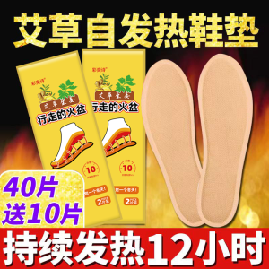 Winter Warm Footpad Shoe Inserts Mens Womens Herbal Medicine Heated Anti-Cold Walking Comfort Foot Pads Breathable Moisture-Wicking
