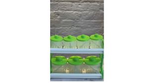 WADAH BUMBU SET MONICA RAK TOPLES 2 TINGKAT KITCHEN SET SUSUN TEMPAT BUMBU DAPUR SERBAGUNA