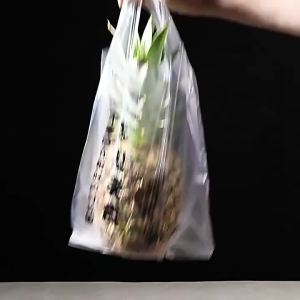 Backed Food-grade Heavy-duty Home-use Hand-carry Fresh-keeping Bags