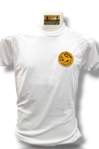 เสื้อยืดกรมการปกครอง เสื้อยืดตราสิงห์