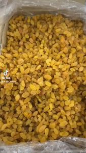 ลูกเกดขาว นำเข้า เกรดAAA+ (White Raisin)(ลูกเกดเหลือง) 1kg (พร้อมทาน)