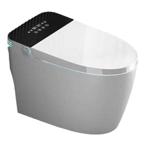 Smart Foam Shield Low Pressure Limitation Immediate Heating Siphonic Toilet