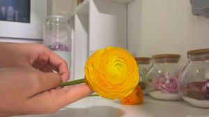 Silica Gel Serbuk Bertahan Lama 500gr Pengawet Bunga Segar dan Kering Kemasan Toples Silica Gel Reusable untuk Kreasi DIY dan Pengawetan Bunga yang Elegan