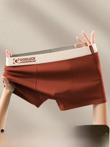 MiiOW | Quần lót nam cotton nguyên chất thoáng khí kháng khuẩn cạp vừa quần đùi cotton thoải mái mùa hè 2025 quần lót nam