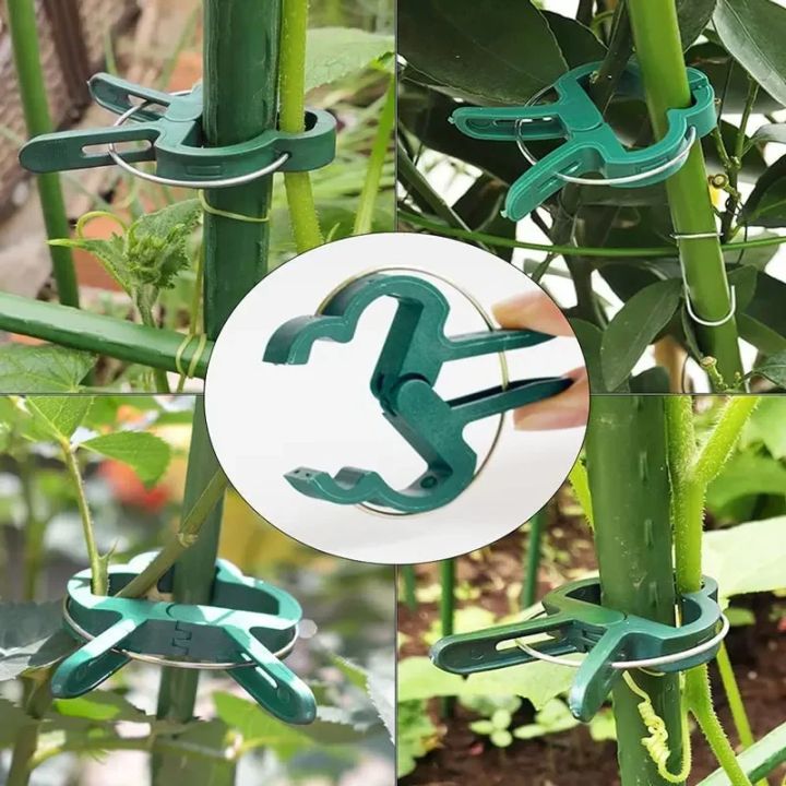 20Pcs Plant Fixed Clips Reusable Garden Greenhouse Bracket for Fixed ...