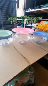 โหลลูกจันทร์ โหลขนมหวาน มี 6 ตัวเลือก จานพลาสติก ใส่ของว่าง โหลกลมพลาสติก โหลใส่ของหวาน รวมมิตร พลาสติกอย่างดี