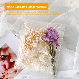 Graduation DIY Kit Decorations with Preserved Flower