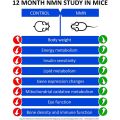 Nicotinamide( NAD+) นิโคตินาไมด์เพื่อสุขภาพเซลล์​ ยืดอายุเซลล์​ ชะลอวัย​ ต่อต้าน​อนุมูล​อิสระ​. 