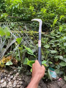 Sabit Penyiang Rumput/Sabit Pisang Serbaguna Malaysia