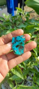 BACAN NATURAL JUMBO