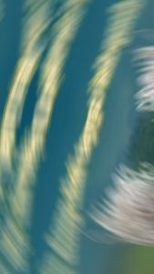 TÚI 500G_MIẾN DONG THÁI TAY SỢI TO