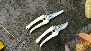 MERIAHSHOP Gunting Dahan Tang Ranting Bunga Tanaman Peralatan Berkebun Pruning Shears Anti Karat