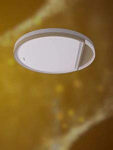 Philips | Eye-Protecting Romantic Simple Elegant Bedroom Ceiling Light