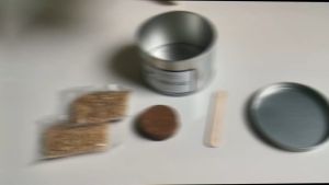 [Sg Ready Stock] Cat Grass Seed For Planting Easy to Grow Oat Grass That Your Cat Will Love Good Cat Grass - Pet Cat Grass Pot Hydroponics Set Cat Grass Snack Hair Ball Cleaning Stomach Grass Hydroponics Grass Cat Snack Cleaning Toys - Paw Loves