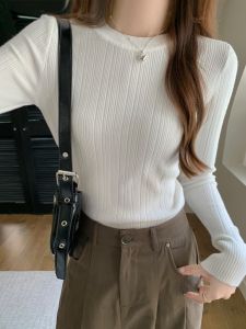 Chic round Neck Knitwear Womens Slim Fit Korean Style Fashionable Base Shirt Autumn Winter New Arrival Essential Sweater