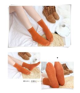 Kaos Kaki Wanita Meizu Solid Color Cotton Summer Women Socks LSCH36
