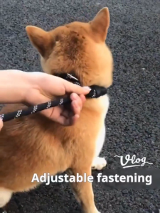 Reflective Dog Leash Padded Handle Nylon Rope Night Walk Pet Traction for Small Medium Large Dog1.5M