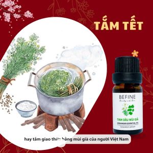Tinh Dầu Mùi Già (Ngò Rí) Befine Nguyên Chất 5ml 10ml