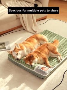 Ultimate Guide to Choosing the Perfect Pet Bed & Accessories