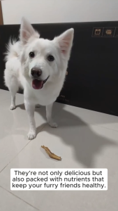 Pawsibliss Homemade Air Dry Duck Feet Chews for Cats and Dogs