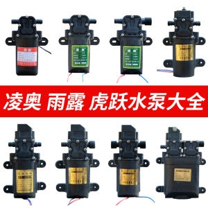 12V Electric Smart Pump Farm Spray Gun Car Wash Mini Motor Pump Diaphragm Self-Priming Pump Engineering Plastic Material