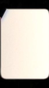 SR12 Lip Cream & Lip Matte Cream / Kissproof No Transfer / Tidak Mudah Luntur & Tahan Lama