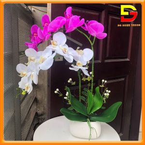 Hoa Giả Chậu Hoa Lan Hồ Điệp 2 Nhánh Cắm Sẵn Nhiều Sắc Decor Trang Trí Nhà Cửa DG-173