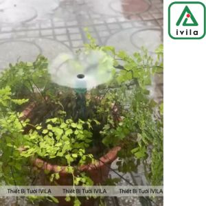 Combo 10 Que cắm phun mưa xòe 360 độ bù áp tự động cân bằng áp Lưu lượng 35l/h - 55l/h  - Chất liệu nhựa cao cấp độ bền cao phù hợp tưới cây ăn quả cây cảnh chậu hoa cây bụi.