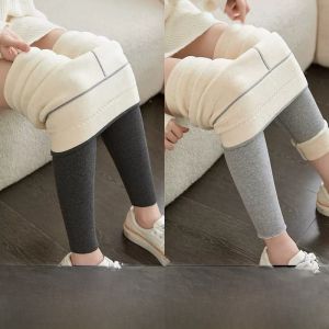 miiow | Gray Fleece Lined Thick Womens Leggings Autumn Winter Outerwear Catman Cotton Pants Warm Velvet Trousers Long Pants Online Exclusive