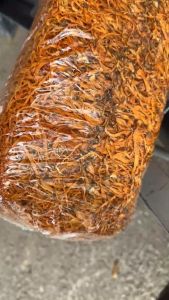 Đông Trùng Hạ Thảo Khô Thơm 1KG Xếp Dọc