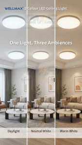 WELLMAX 30W/45W Stella 3-Color LED Ceiling Light 13/15 Inch 3000K 4000K 6500K Wall Switch Surface Mount Lampu Siling