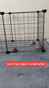 Pagar Kandang DIY Simple Anjing Kucing Kelinci Mini Kecil Model Susun Konektor (FREE BUBBLEWRAP)\r\n\r\n Deskripsi Produk & Fitur Utama\r\n\r\nEinstein-Store menghadirkan produk Pagar Kandang DIY simple anjing kucing kelinci Mini Kecil Pagar Hewan Model Susun Konektor yang dirancang khusus untuk hewan peliharaan Anda. Produk ini memiliki spesifikasi material dan warna yang tepat untuk menjaga keamanan dan kenyamanan hewan peliharaan Anda.\r\n\r\n Spesifikasi Material & Warna\r\n\r\nPagar Kandang DIY ini terbuat dari besi berkualitas tinggi dengan warna hitam yang elegan. Material besi membuat pagar ini kuat dan tahan lama, sehingga cocok untuk hewan peliharaan Anda seperti anjing, kucing, hamster, dan kelinci.\r\n\r\n Fungsi Multiguna & Fleksibilitas\r\n\r\nPagar Kandang DIY ini multifungsi dan fleksibel, sehingga dapat dibentuk sesuai kondisi ruangan Anda. Anda dapat membeli sesuai jumlah kebutuhan dan mengatur pagar sesuai keinginan Anda. Produk ini sangat cocok untuk hewan peliharaan Anda dan dapat digunakan sebagai pagar hewan peliharaan praktis.\r\n\r\n Paket & Harga Termasuk\r\n\r\nPaket harga termasuk 1 pc pagar besi 35 x 35 cm dan 2 pcs konector. Dengan harga yang terjangkau, Anda bisa mendapatkan produk berkualitas tinggi untuk hewan peliharaan Anda.\r\n\r\n Keunggulan Produk & Kepercayaan Konsumen\r\n\r\nEinstein-Store mengutamakan kejujuran dan kepuasan pelanggan. Kami menjamin barang yang Anda terima akan sampai tujuan dengan aman dan kami akan melakukan pengecekan dan packing menggunakan bubblewrap tanpa biaya tambahan.\r\n\r\n Jaminan Keamanan Barang Sampai Tujuan\r\n\r\nKami menjamin barang yang Anda pesan akan sampai tujuan dengan aman dan baik. Setiap produk yang kami kirimkan akan kami cek dahulu dan packing menggunakan bubblewrap tanpa biaya tambahan.\r\n\r\n Metode Pembayaran COD (Bayar Saat Barang Sampai)\r\n\r\nJika Anda ragu, Anda bisa memilih metode pembayaran COD (Bayar Saat barang Sampai). Kami menyediakan metode pembayaran ini untuk memberikan kepercayaan kepada pelanggan kami.\r\n\r\n Komitmen Kepuasan Pelanggan Einstein-Store\r\n\r\nEinstein-Store mengutamakan kepuasan pelanggan. Kami selalu berusaha memberikan produk berkualitas tinggi dan layanan terbaik kepada pelanggan kami.\r\n\r\n Cara Menggunakan & Aplikasi Praktis\r\n\r\nBerikut adalah panduan penggunaan Pagar Kandang DIY simple anjing kucing kelinci Mini Kecil Model Susun Konektor:\r\n\r\n Panduan Penggunaan Pagar Kandang DIY\r\n\r\n1. Siapkan pagar besi dan konector.\r\n2. Pasang pagar besi sesuai keinginan Anda.\r\n3. Hubungkan konector pada pagar besi untuk membuat pagar yang kokoh.\r\n4. Letakkan hewan peliharaan Anda di dalam pagar.\r\n\r\n Contoh Aplikasi Untuk Anjing, Kucing, Hamster & Kelinci\r\n\r\nPagar Kandang DIY simple anjing kucing kelinci Mini Kecil Model Susun Konektor dapat digunakan untuk hewan peliharaan Anda seperti anjing, kucing, hamster, dan kelinci. Anda bisa menggunakan produk ini sebagai pagar hewan peliharaan praktis dan multifungsi.\r\n\r\nKami berharap informasi ini membantu Anda dalam memilih produk yang tepat untuk hewan peliharaan Anda. Jika Anda memiliki pertanyaan lebih lanjut, jangan ragu untuk menghubungi kami. Kami siap membantu Anda.