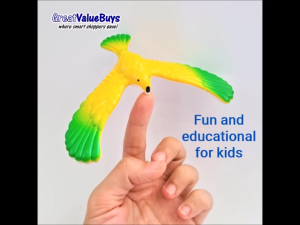 SG STEM Classroom Reward Educational Learning Prizes Kids Students Science Math School Teacher Gifts