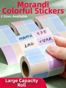 DISCO BEAR | Writtable Classification And Labeling Stickers